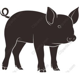 Charming Pig