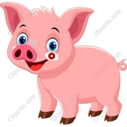 Cheerful Pink Pig