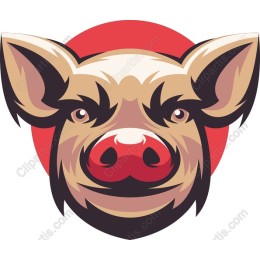 Vibrant Pig