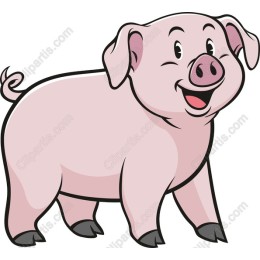 Joyful Cartoon Pig