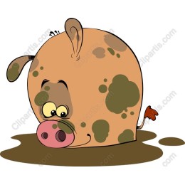 Playful Pig