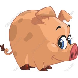 Adorable Cartoon Pig