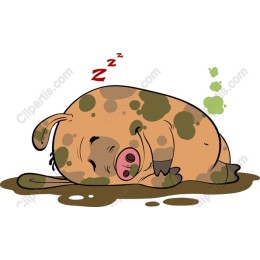 Adorable Sleeping Piglet