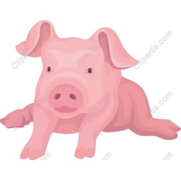 Charming Piglet