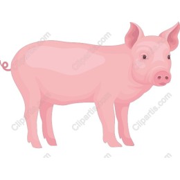Charming Pink Pig