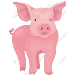 Charming Piglet
