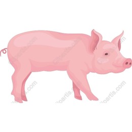 Happy Pig