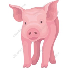Charming Pink Piglet