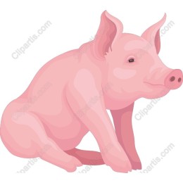 Charming Pink Pig