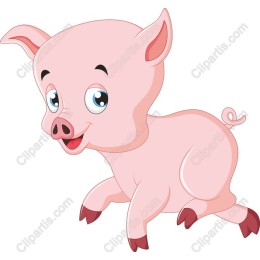 Cute Cartoon Piglet
