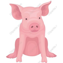 Charming Sitting Pig