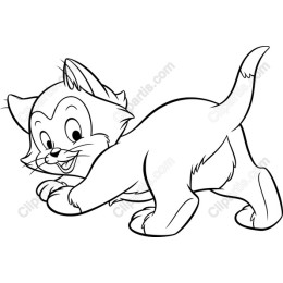 Playful Kitten