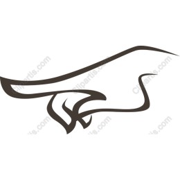 Elegant Eagle