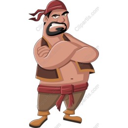 Vibrant Pirate Character