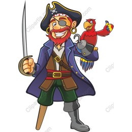 Vibrant Pirate Character
