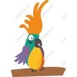 Tropical Bird
