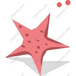 Coral Starfish