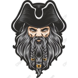 Pirate Captain