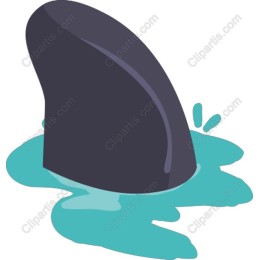 Shark Fin