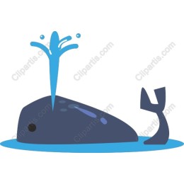 Playful Whale