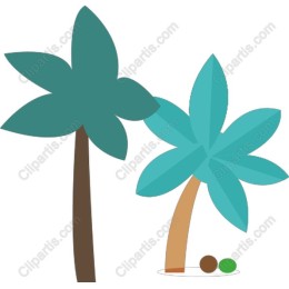 Tropical Palms