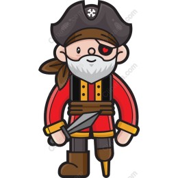Pirate Character