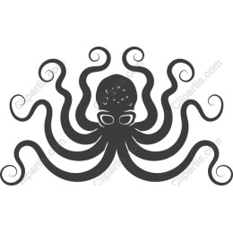 Octopus - Majestic Deep-Sea