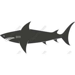 Dynamic Shark