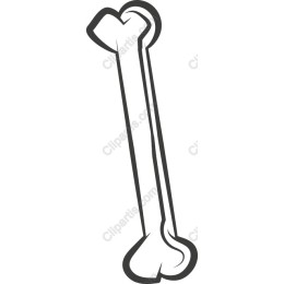 Classic Dog Bone