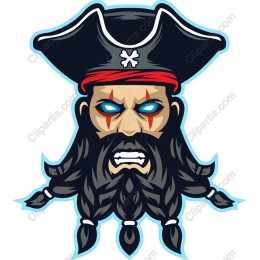 Fierce Pirate Captain