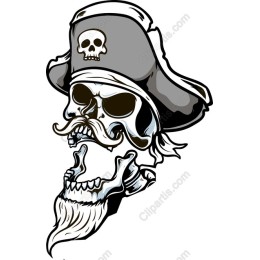 Pirate Skull