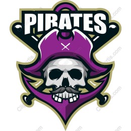 Pirate Skull Emblem