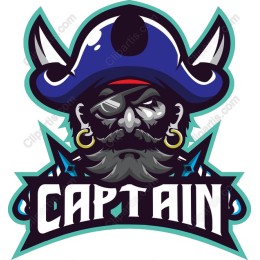 Fierce Pirate Captain