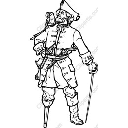 Daring Pirate