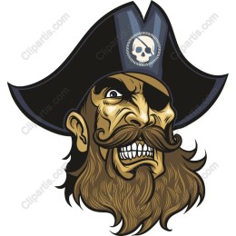 Fierce Pirate