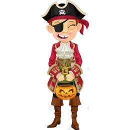 Cheerful Pirate Character