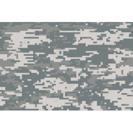 Digital Camouflage