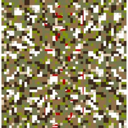 Abstract Camouflage