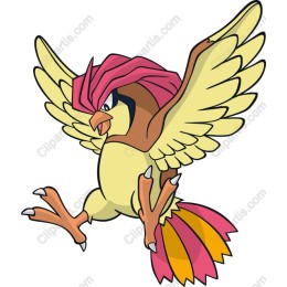 Dynamic Bird