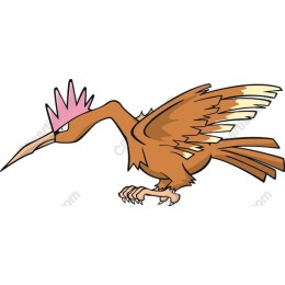 Regal Bird