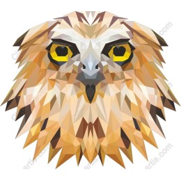 Polygonal Owl