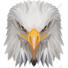  Eagle Head