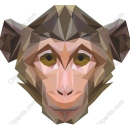 Geometric Monkey Head