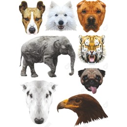 Animal Faces Set