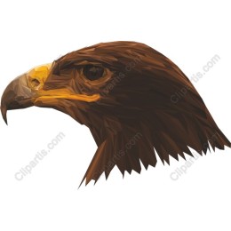Polygonal Eagle Head