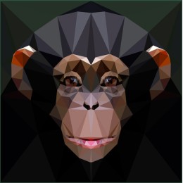 Polygonal Monkey Face
