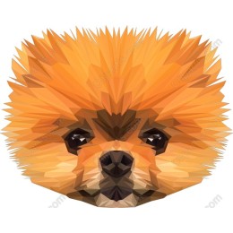 Pomeranian Geometric
