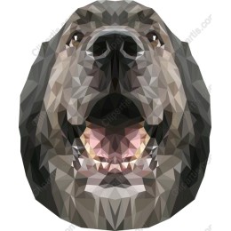 Geometric Dog Face