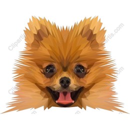 Pomeranian Polygonal
