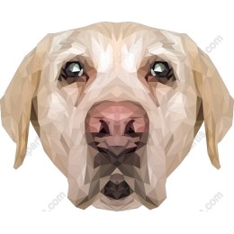 Polygonal Labrador Dog Head
